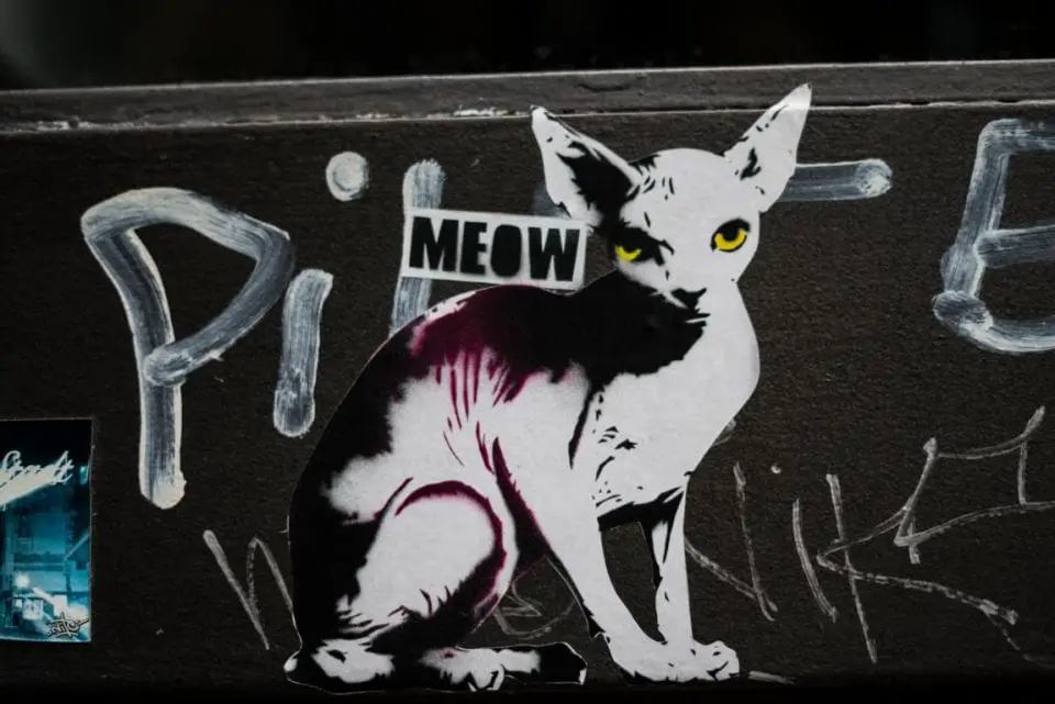 Street Art Köln Meow Paste Up