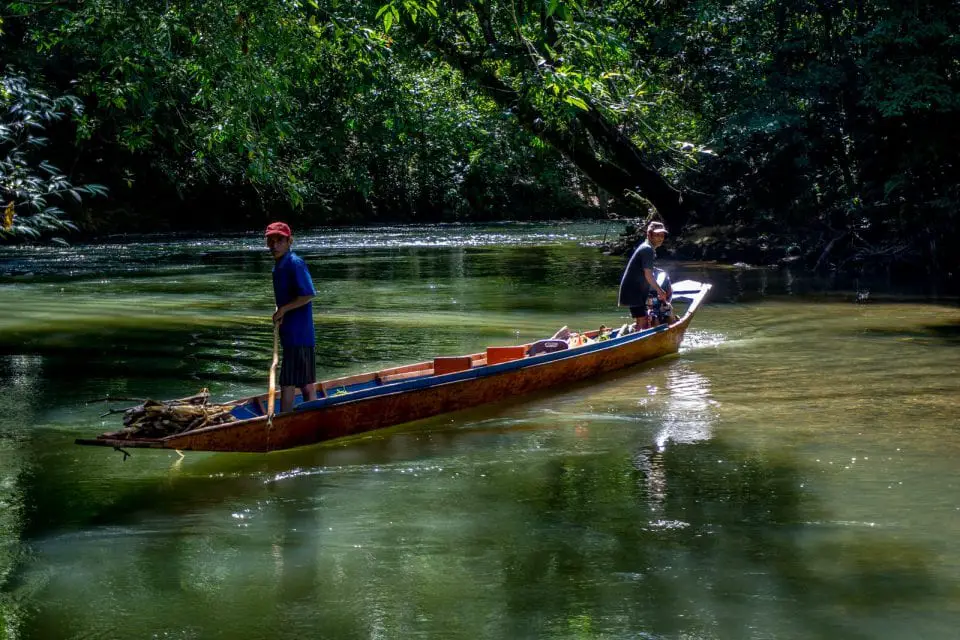 Borneo Orang Utan Dschungel Trek