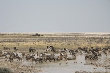 Namibia reise