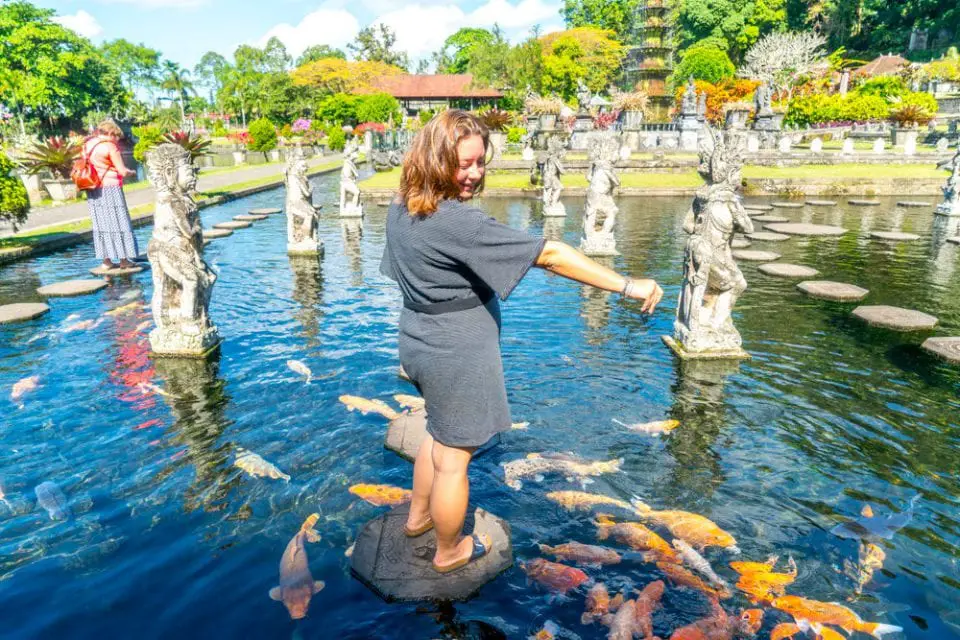 Tirta Gangga Bali Wasserpalast Koi Karpfen