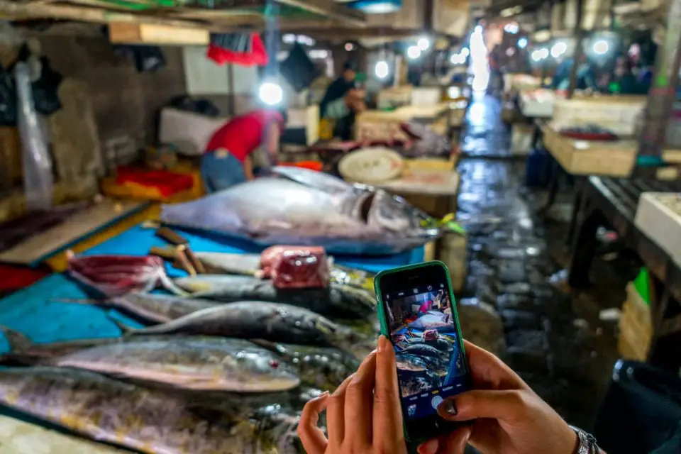 markt Bali seafood fisch