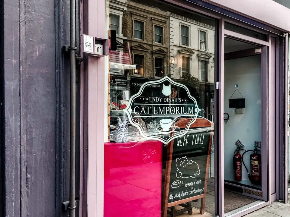 Katzen Cafe in London