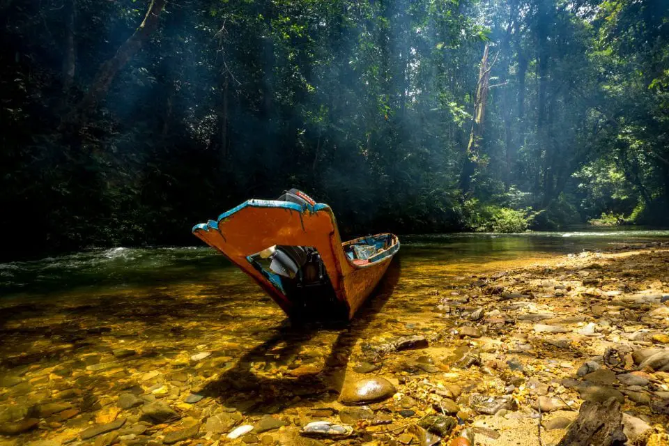 Südostasien Reise - Borneo Dschungel