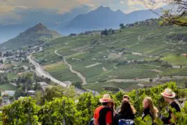 Weinreise Schweiz
