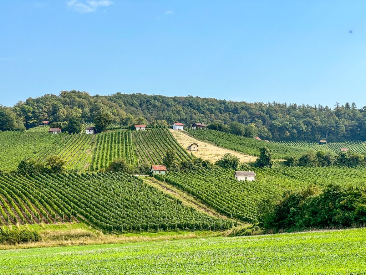 Weinregion Schweinfurt Weinberge
